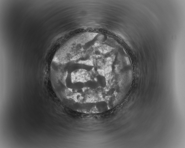 X0000096401063200802211158