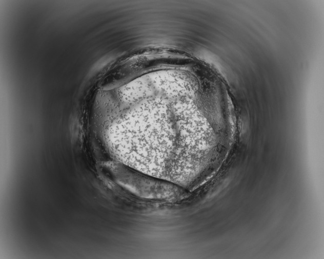 X0000096401064200802211158