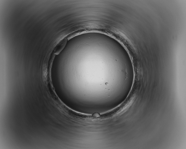 X0000096401065200802211158