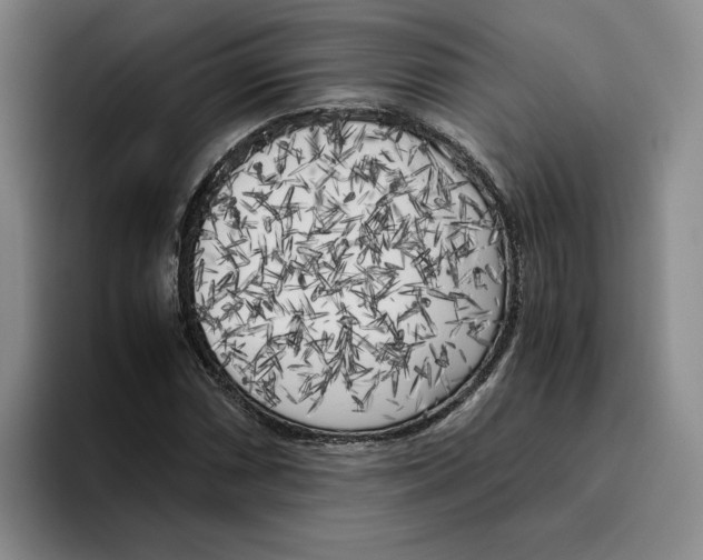 X0000096401066200802211158