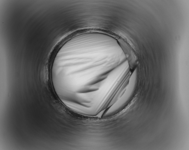 X0000096401069200802211158