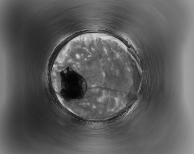 X0000096401071200802211158