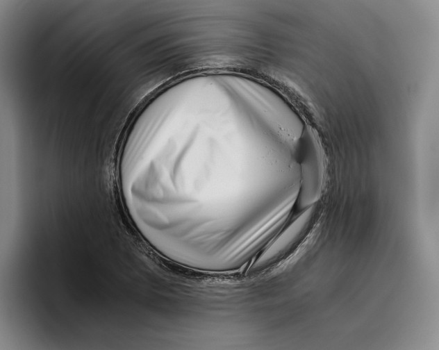 X0000096401073200802211158