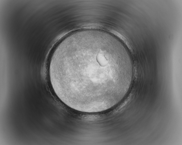 X0000096401074200802211158