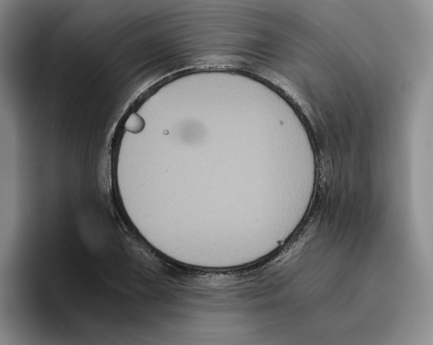 X0000096401075200802211158