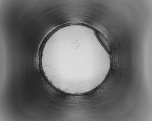 X0000096401076200802211158