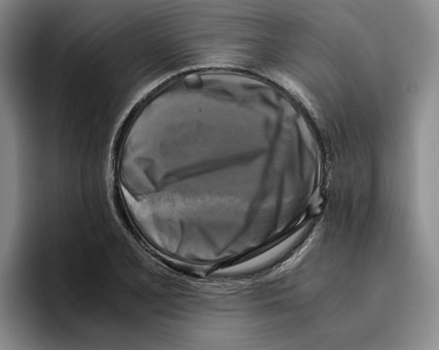 X0000096401077200802211158