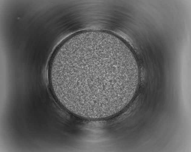 X0000096401078200802211158