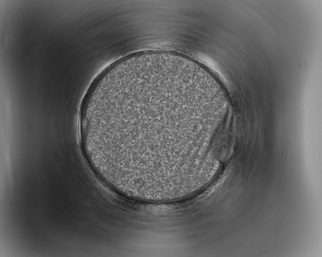 X0000096401079200802211158