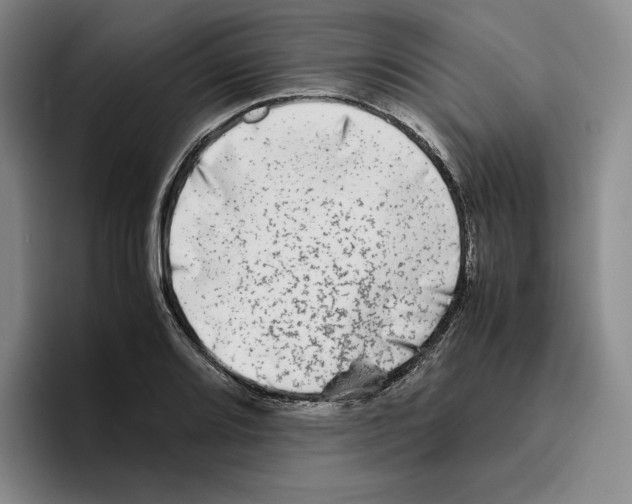 X0000096401080200802211158