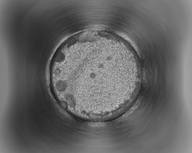 X0000096401083200802211158