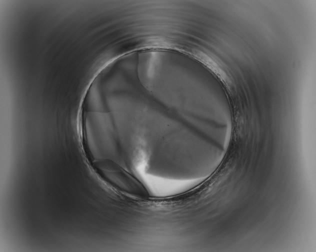 X0000096401084200802211158