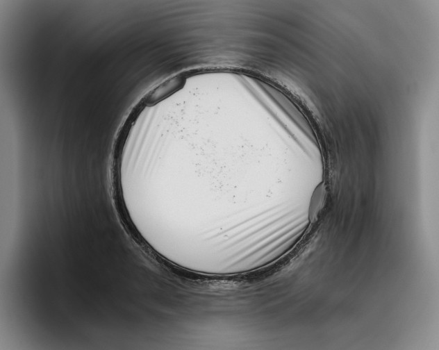 X0000096401085200802211158