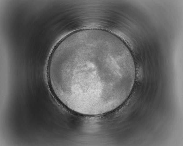 X0000096401086200802211158