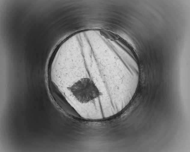 X0000096401088200802211158