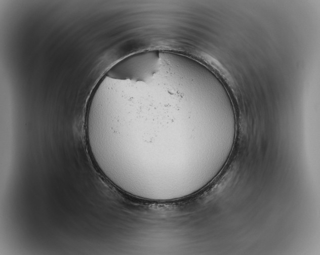 X0000096401089200802211158