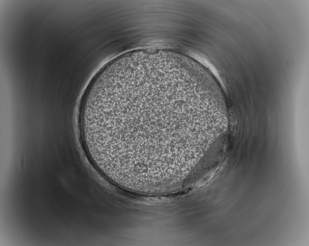 X0000096401091200802211158