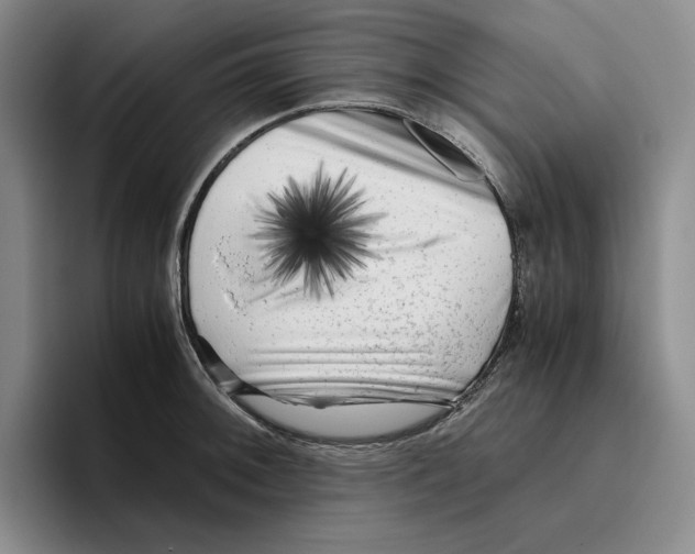 X0000096401092200802211158