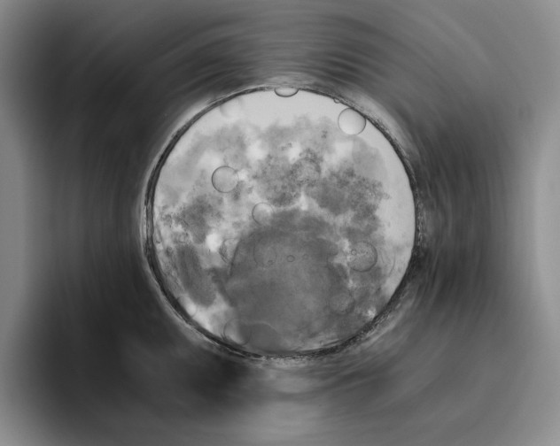 X0000096401095200802211158