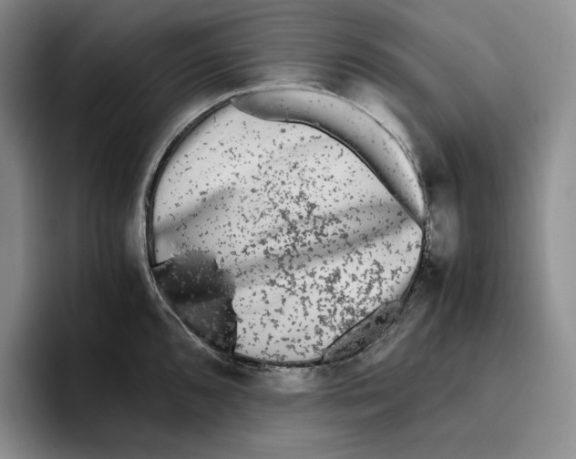 X0000096401096200802211158