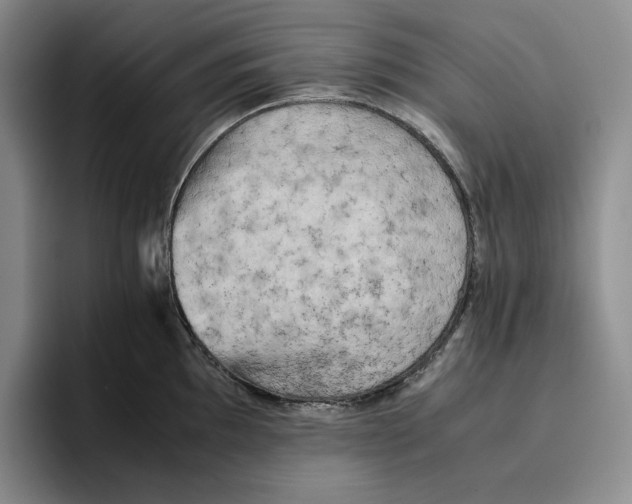 X0000096401097200802211158