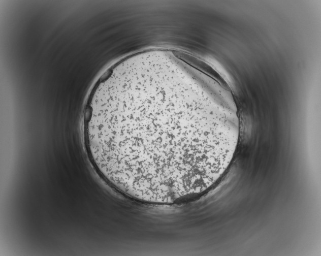 X0000096401100200802211158