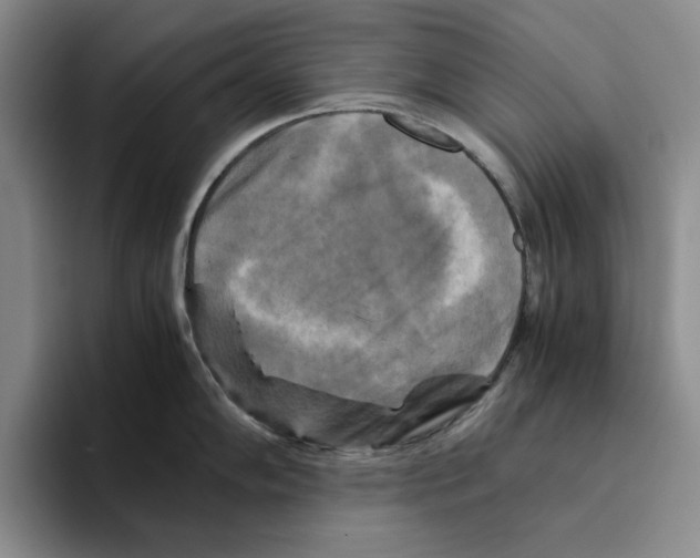 X0000096401102200802211158