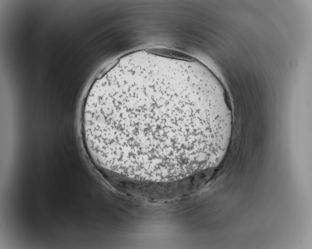 X0000096401104200802211158