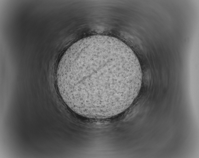 X0000096401105200802211157