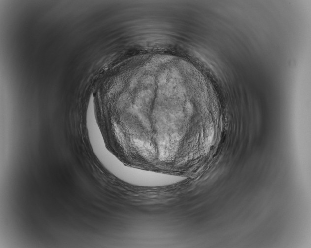 X0000096401108200802211157