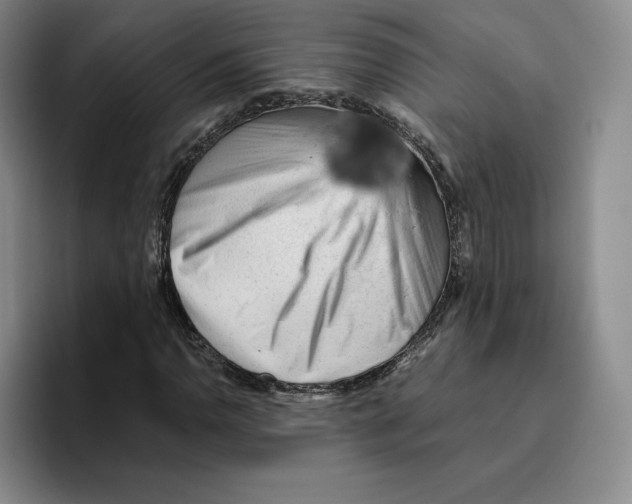 X0000096401110200802211157