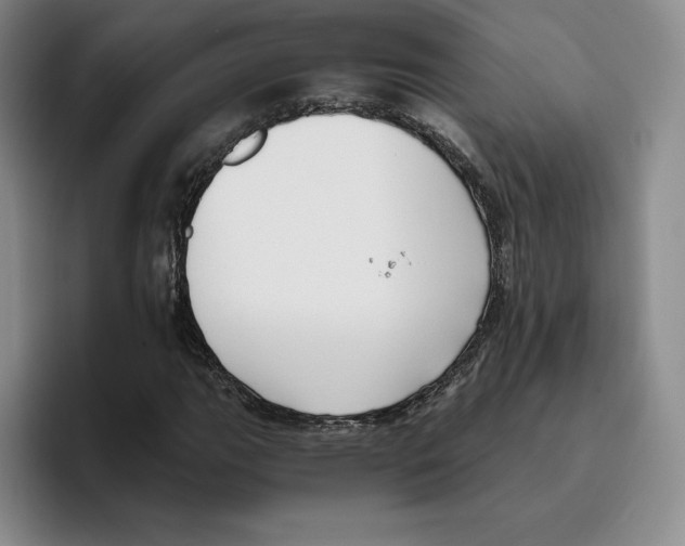 X0000096401111200802211157