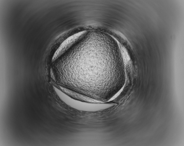 X0000096401112200802211157