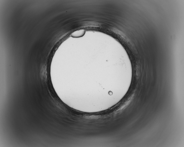 X0000096401113200802211157