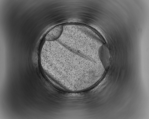 X0000096401115200802211157