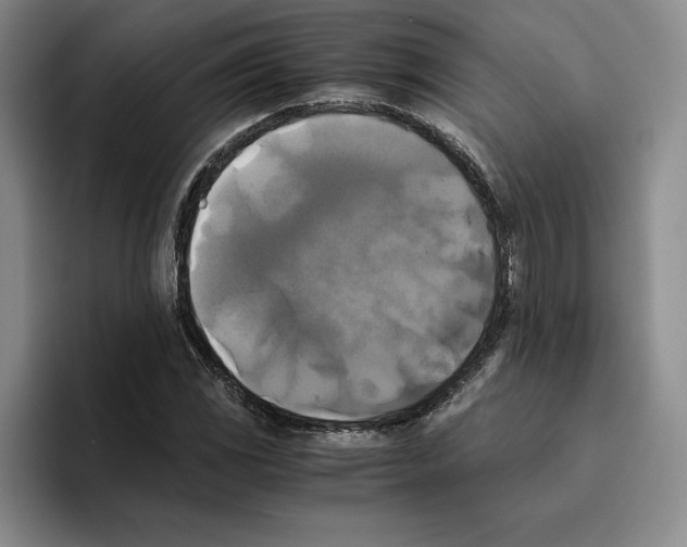 X0000096401117200802211157