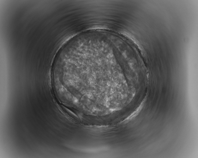 X0000096401121200802211157