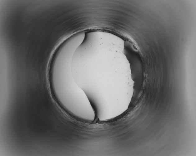 X0000096401122200802211157