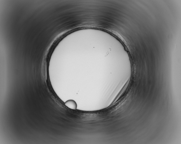 X0000096401123200802211157