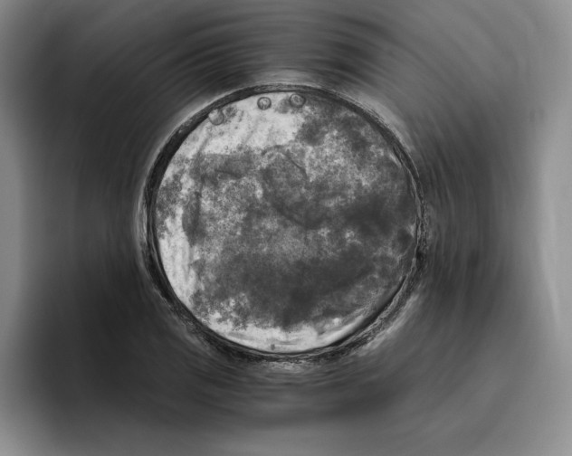 X0000096401125200802211158