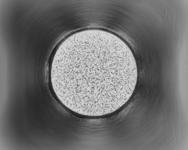 X0000096401126200802211158