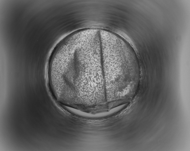 X0000096401128200802211158