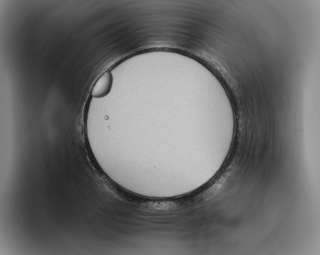 X0000096401129200802211158