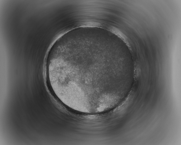 X0000096401130200802211158