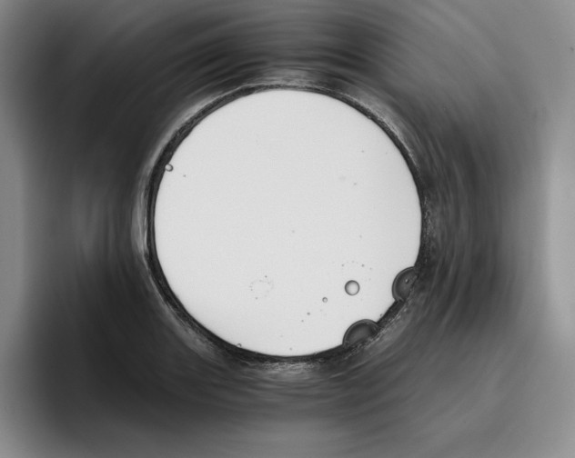 X0000096401131200802211158