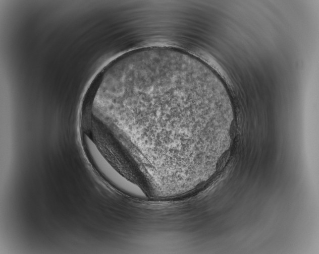 X0000096401132200802211158