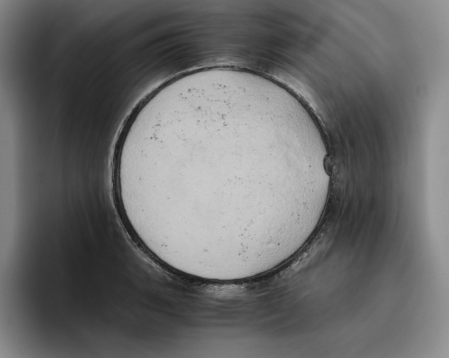 X0000096401135200802211158