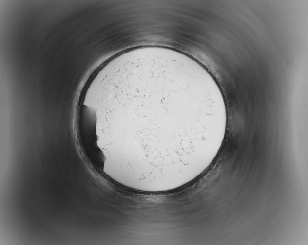 X0000096401136200802211158