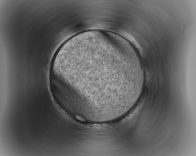 X0000096401138200802211158