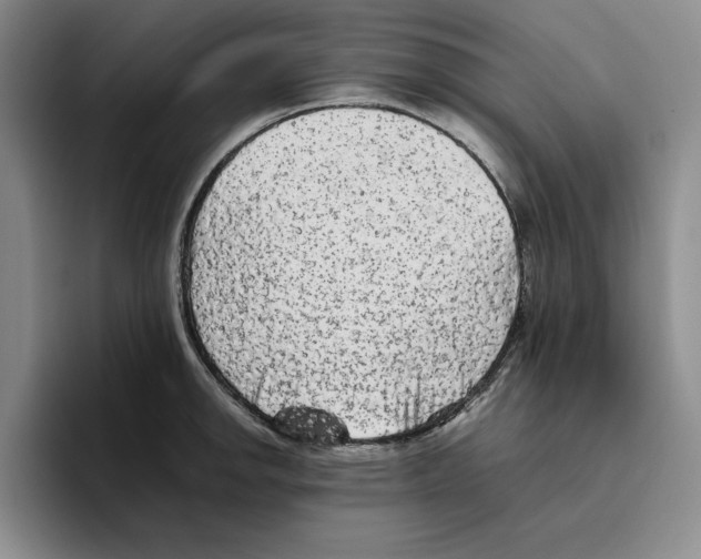 X0000096401142200802211158